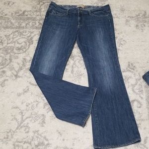 PAIGE Premium Hollywood Hills Bootcut